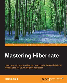 Imagen de portada para Mastering Hibernate