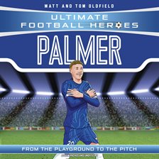 Cover image for Palmer (Goal Machines)
