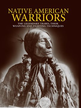 Cover image for Native American Warriors