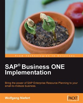 Cover image for Sap Business One Implementation