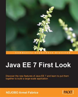 Imagen de portada para Java EE 7 First Look