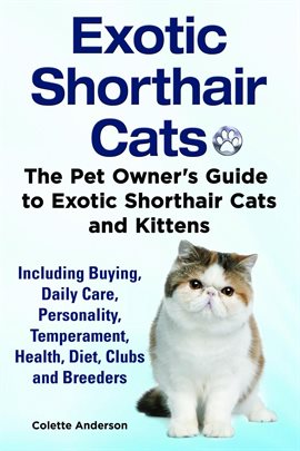 Imagen de portada para Exotic Shorthair Cats the Pet Owner's Guide to Exotic Shorthair Cats and Kittens Including Buying