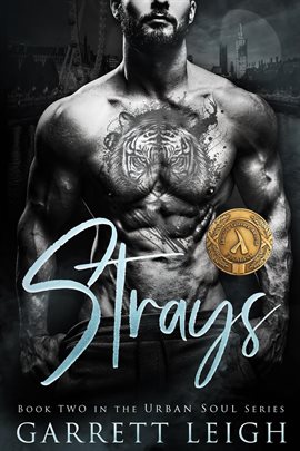Imagen de portada para Strays