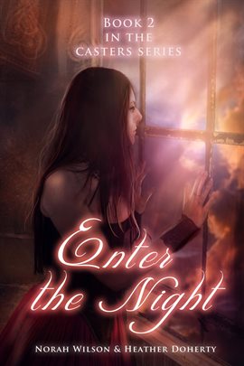 Cover image for Enter the Night
