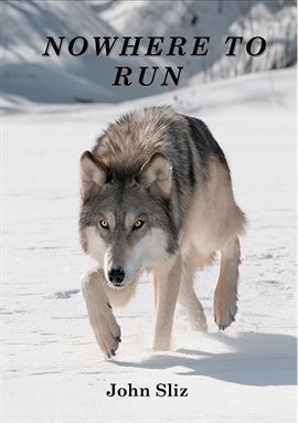 Cover image for Nowhere to Run