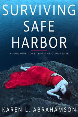 Cover image for Surviving Safe Harbor