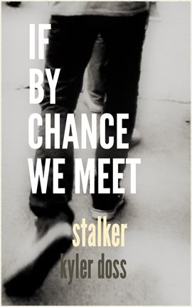 Cover image for If by Chance We Meet