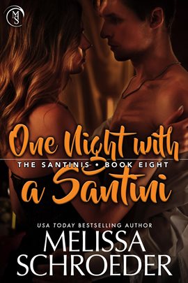 Cover image for One Night With a Santini