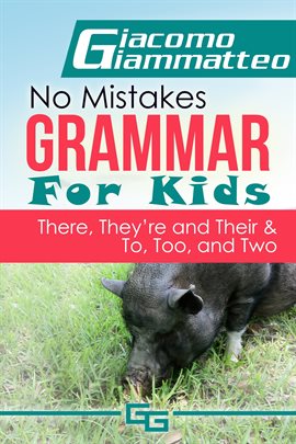 Cover image for No Mistakes Grammar for Kids, Volume V, "There, They're, Their," and "To, Too, and Two"