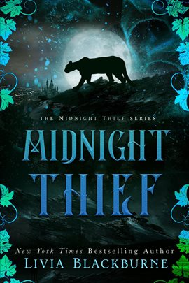 Cover image for Midnight Thief