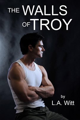 Cover image for The Walls of Troy