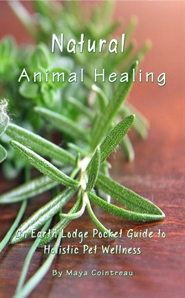 Cover image for Natural Animal Healing: An Earth Lodge Pocket Guide to Holistic Pet Wellness