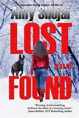 Imagen de portada para Lost And Found