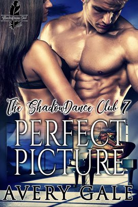 Cover image for Perfect Picture