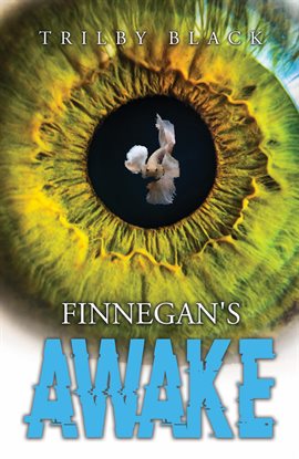 Cover image for Finnegan's Awake