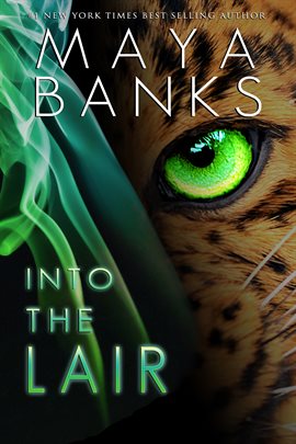 Cover image for Into the Lair
