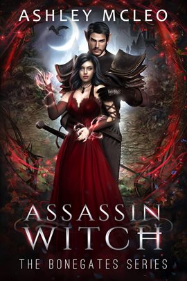 Cover image for Assassin Witch