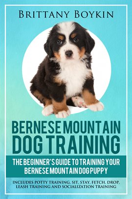 Imagen de portada para Bernese Mountain Dog Training: The Beginner's Guide to Training Your Bernese Mountain Dog Puppy