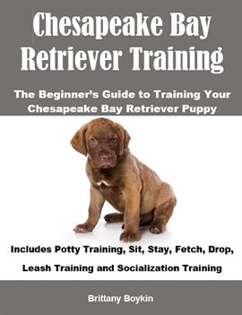 Imagen de portada para Chesapeake Bay Retriever Training: The Beginner's Guide to Training Your Chesapeake Bay Retriever Pu