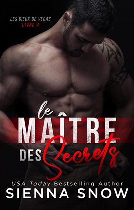 Cover image for Le Maitre des Secrets