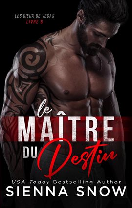 Cover image for Le Maitre du Destin