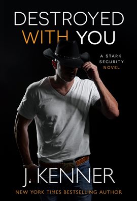 Imagen de portada para Destroyed With You