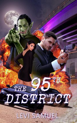 Cover image for The 95th District