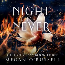 Cover image for Night of Never