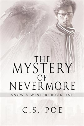Cover image for The Mystery of Nevermore