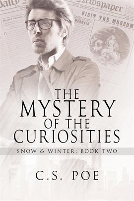 Cover image for The Mystery of the Curiosities