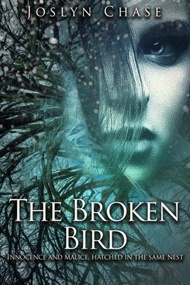 Cover image for The Broken Bird