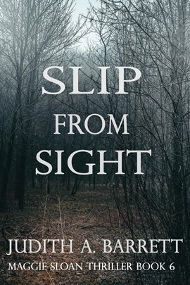 Cover image for Slip From Sight