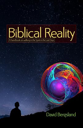 Cover image for Biblical Reality