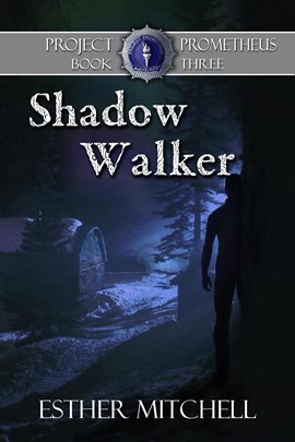 Cover image for Shadow Walker