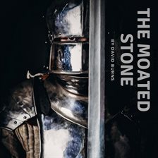 Imagen de portada para The Moated Stone