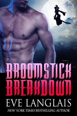 Cover image for Broomstick Breakdown