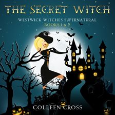 Cover image for The Secret Witch