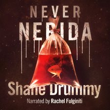 Cover image for Never Nerida
