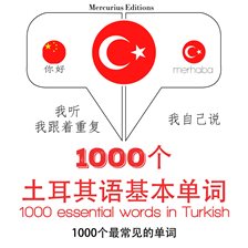Cover image for 在土耳其1000个基本词汇