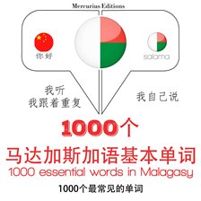 Cover image for 在马达加斯加1000个基本词汇