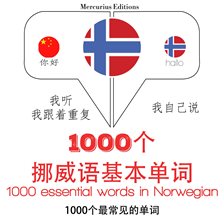 Cover image for 在挪威的1000个基本词汇
