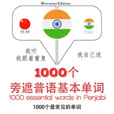 Cover image for 在旁遮普1000个基本词汇