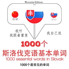 Cover image for 在斯洛伐克1000个基本词汇