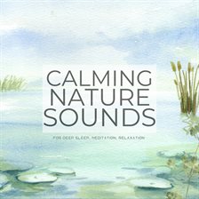 Cover image for Calming Nature Sounds (Without Music) for Deep Sleep, Meditation, Relaxation