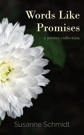 Cover image for Words Like Promises