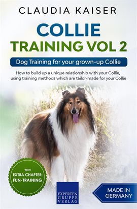 Rough Collie Training