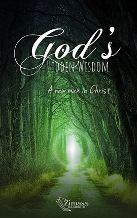 Cover image for God's Hidden Wisdom