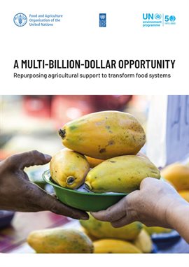 Imagen de portada para A Multi-Billion-Dollar Opportunity – Repurposing Agricultural Support to Transform Food Systems