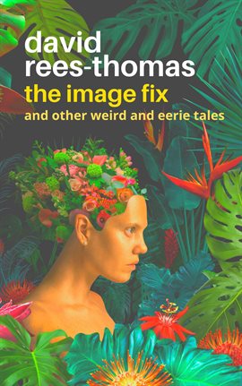 Cover image for The Image Fix
