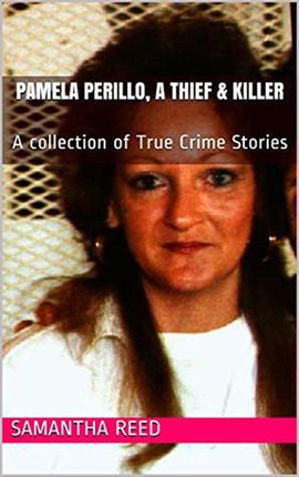 Cover image for A Thief & Killer Pamela Perillo